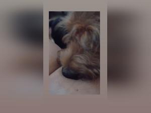 Art of Zoo: Social Responsibility & Animal Welfare