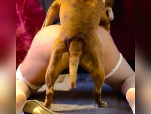 Untamed Desires Unleashed