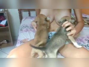 Bestial lactation: An extreme experience with a dog