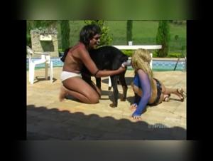 animal world sc1 : dog sex