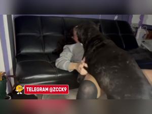 Allysa Dog Fuck X