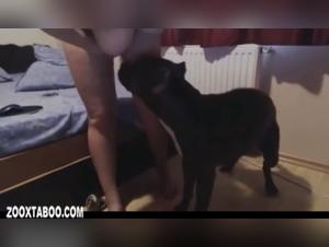 Dog Sex Video: A Cam Girl and Her Best Friend