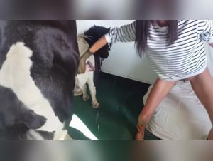 Charlie Bitch Fuck Dog Part 1
