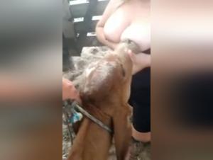 Beastly video: a dog and her master