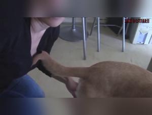 Mature woman and her dog: a zoophilia video not to be missed