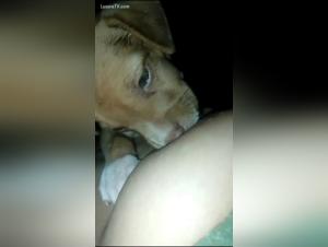 zooyouporn revelations