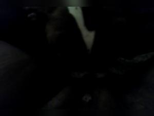 Animalporn Rocks: Forbidden Desires