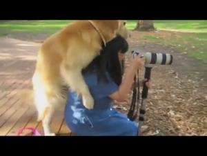 Bestial sex with dogs: a unique experience