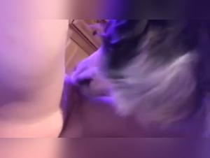 Zoophilia video: dog licking his mistress