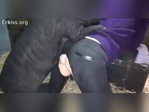 tierische beischlaf vietnamesische süss