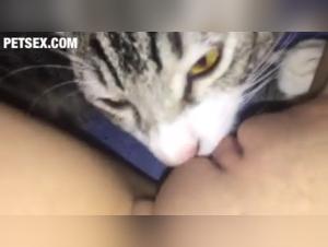 Greedy Feline: A Happy Cat Thanks to a Four-Legged Friend