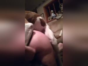 Vidéo Amateur - Sexe avec Chien