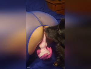 unveiled secrets: exposed pornscum