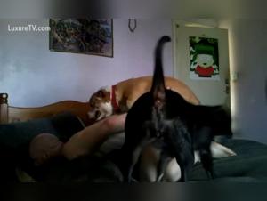 Bestiality sex video: Woman and her dog