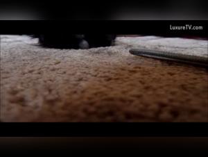 Housewife and her dog: a zoophilia video not to be missed