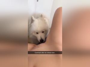 Shocking Bestiality Encounter: Slut and Brother's Dog