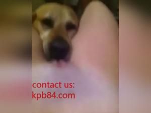 A teen and her dog in a bestiality video