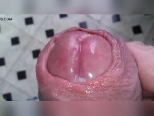 Forbidden Sex - Bestiality Video