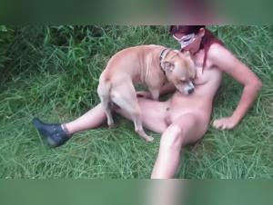Dog Sex Org. : Salopes & Chien, Intense Porno Animal