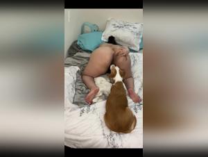 dog fuck animal videos