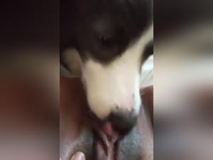 Bestial pleasure: a girl and her dog