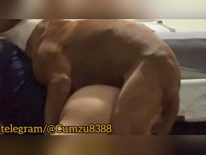 Hund vergewaltigt Schlampe