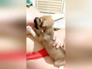 Bestial Experience: Sex with Dog