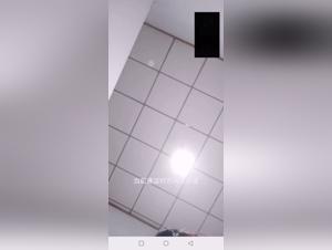 Video Bestiality Zoophilia: Man and Dog