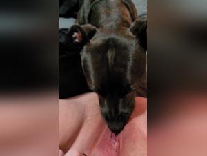 Woman and dog: an intimate and exciting relationship