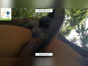 pushing boundaries: zoophilia and celebrity