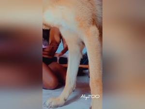 Chica y Perro - Episodio 1