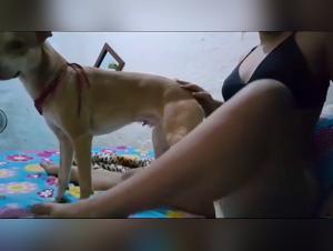 dogdog knots girl, coco triple x