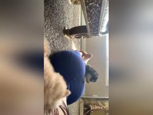 Unusual Encounter: Woman and Dog