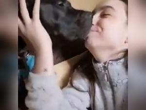 baise animale hardcore doggystyle interdit
