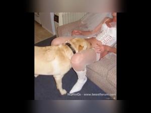 An unexpected love story: Sex with a dog