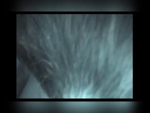 denise frazier video pornsocket