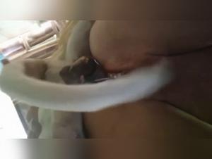 Dog Sex Video: An Intense Experience