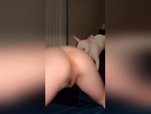 artzoo and hundeporno