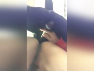 Milly Horny Dog Fuck Home Alone
