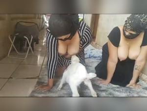 Sexual Encounter with a Goat: An Intense Bestiality Experience