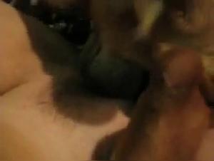 Mädchen doggy Style - Extreme XXX Videos