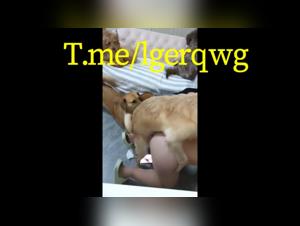 Milf in bestiality sex video with dog