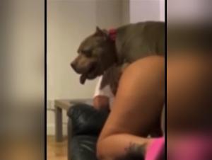 Understanding Bestiality