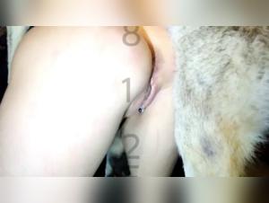 Suzan and her canine companion: a beastly video not to be missed