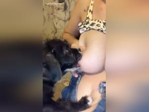 Hund saugt Welpen: Grober Sex