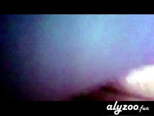 unveiling taboo desires: bestiality