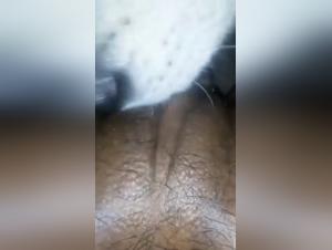 Bestiality forbidden: ebony and dog