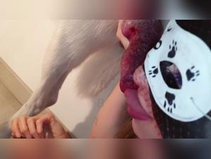 Forbidden Meeting: Woman and Dog