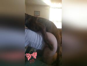 Dog Sex with a Hot Blonde, Slut Fucks Her Dog and Gets Fucked by His Doggy Boyfriend