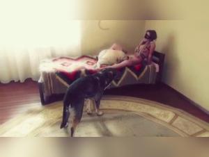 Mujer Baila con Perro - Vídeos XXX
